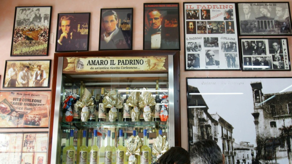  New 'Godfather' novel to tell mafia story from women's perspective 