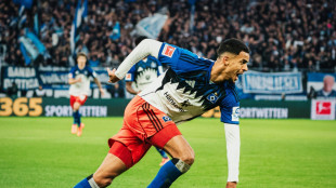 Vieira trifft sp&auml;t: HSV ringt Stuttgart nieder