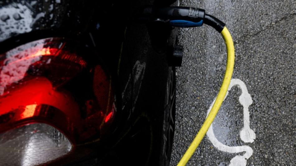  Des voitures &eacute;lectriques en libre-service pour faciliter les d&eacute;placements &agrave; la campagne 