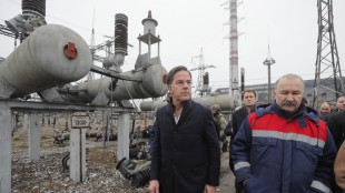 Oltre a Rutte tutto il Consiglio Atlantico &egrave; in visita a Kiev