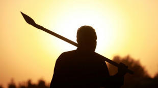 "La chaleur nous tue": travailler par 50 degrés au Moyen-Orient et en Afrique du Nord