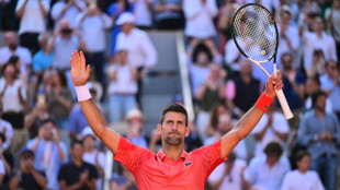 Djokovic into French Open semi-finals for 12th time