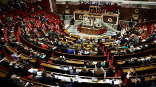 Le Parlement adopte l'allongement du d&eacute;lai de l'IVG