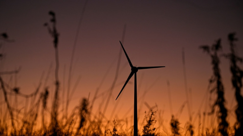 Mehr als 1600 Unternehmen kritisieren Energiepolitik der Bundesregierung