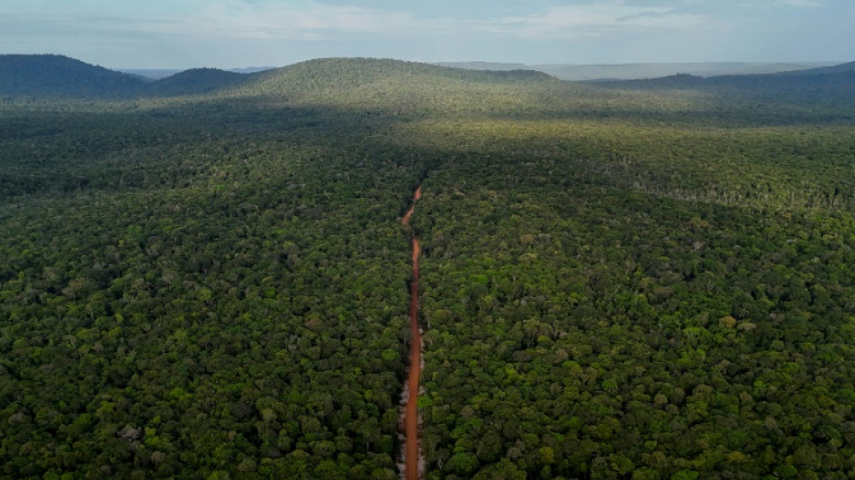 In Guyana, remote dirt road seen as future economic lifeline