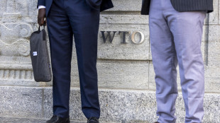 Wto taglia le stime sul commercio globale, pesano i dazi