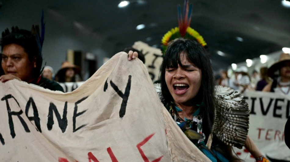 COP30 se contenta com acordo que omite abandono das energias f&oacute;sseis