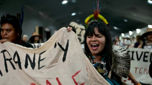 COP30 se contenta com acordo que omite abandono das energias f&oacute;sseis