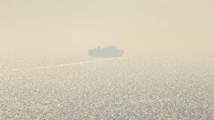 Ucrania desaf&iacute;a a Rusia con un carguero en el mar Negro