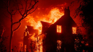 Los Angeles wildfires costliest in history: Munich Re