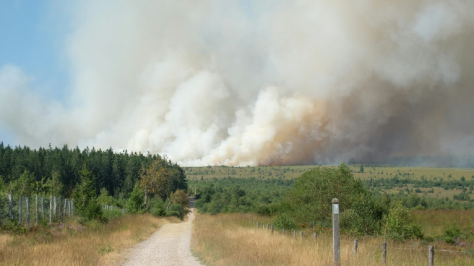 Waldbrand in Belgien nahe deutscher Grenze breitet sich aus - Erste Evakuierungen