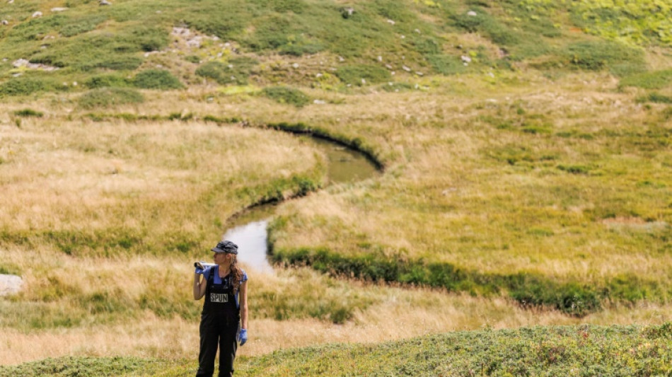 Scientist wins 'Environment Nobel' for shedding light on hidden fungal networks