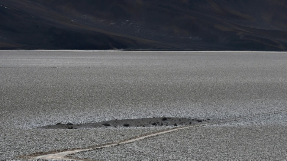  Chile inicia una batalla judicial contra la francesa Eramet por "entorpecer" un proyecto de litio 