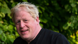 Boris Johnson lied to MPs over Covid parties: committee