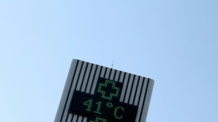 Cinco razones para asegurar que el verano en Europa fue abrasador