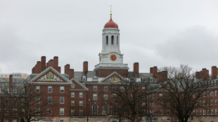 Harvard investir&aacute; US$ 250 milh&otilde;es em pesquisa ap&oacute;s cortes de Trump