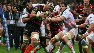 Top 14: Toulouse &agrave; la f&ecirc;te et leader, Pau dauphin, premier point pour Perpignan