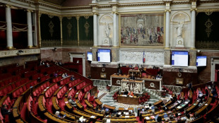 Le budget de l'Etat de retour &agrave; l'Assembl&eacute;e, au bout du tunnel le 49.3?