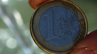 Stabile l'euro in avvio a 1,1594 dollari (-0,09%)