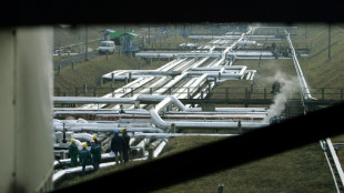 Rusia interrumpe el suministro de petr&oacute;leo a Polonia por el ducto Druzhba (empresa)