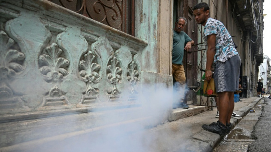 Suman 29 los menores fallecidos en Cuba por dengue y chikungu&ntilde;a