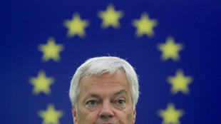 La propuesta de amnist&iacute;a es un "asunto interno" de Espa&ntilde;a, dice un comisario europeo