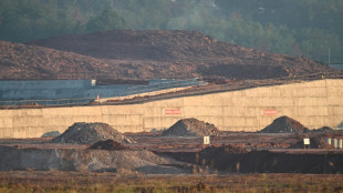 Firmas europeas se replantean su presencia en China por las restricciones a las tierras raras