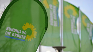 Gr&uuml;ne in Schleswig-Holstein Gr&uuml;ne w&auml;hlen Doppelspitze aus Rudow und Freitag