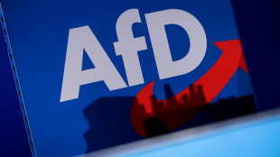CSU-Chef S&ouml;der schlie&szlig;t Kooperation mit AfD "klar" aus