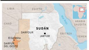 Entre 10.000 y 15.000 muertos en una ciudad de Darfur, seg&uacute;n expertos de la ONU