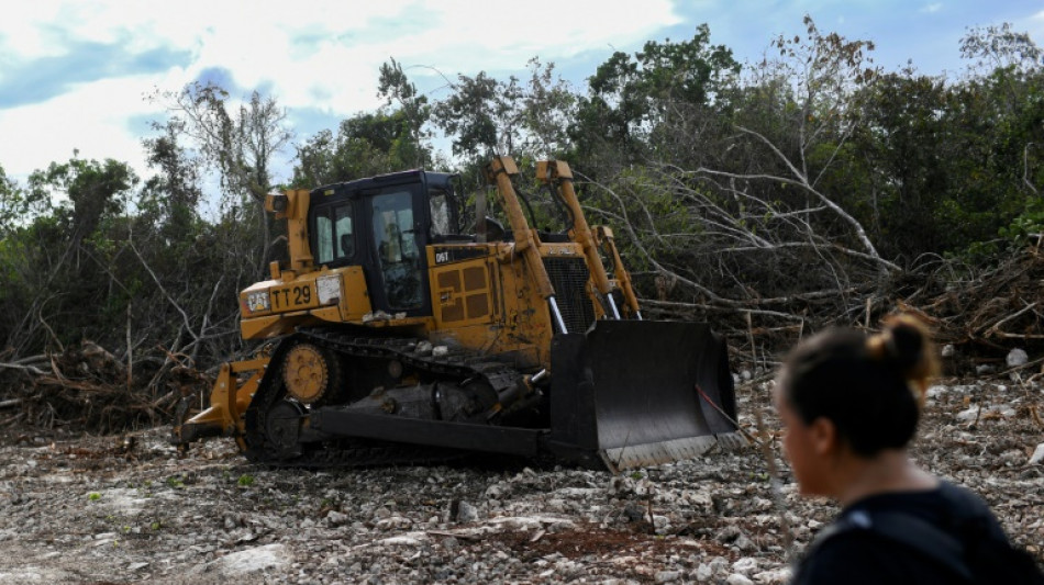 Un juez frena la construcci&oacute;n de un tramo del Tren Maya en M&eacute;xico
