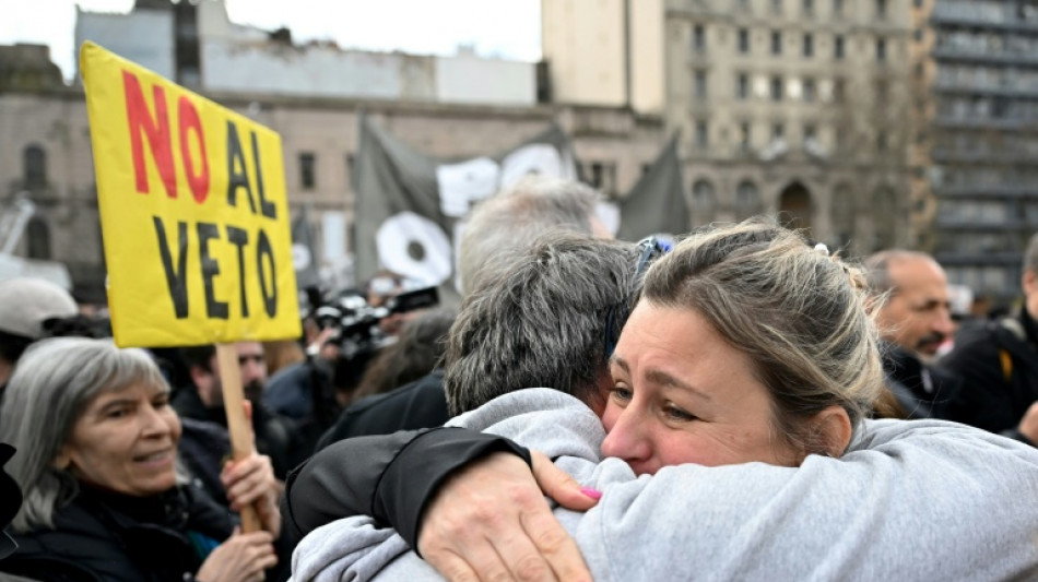  Deputados na Argentina rejeitam veto de Milei a fundos para pessoas com deficiência; falta Senado 