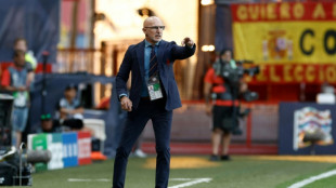 Spain morale is sky high after Italy win: coach