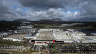 Mexiko will Z&ouml;lle f&uuml;r Autos aus China auf 50 Prozent erh&ouml;hen - Peking emp&ouml;rt