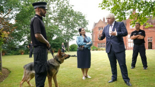 Pressure on UK PM mounts over Afghan pet evacuations