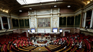 Fin de vie: les d&eacute;bats sur l'aide &agrave; mourir reprennent &agrave; l'Assembl&eacute;e