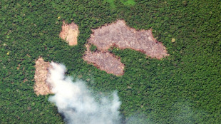 Pagar para preservar as florestas: Brasil promove ambicioso fundo na COP30