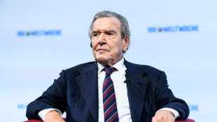 Berlino, 'Schroeder mediatore? Preso nota ma da Putin spesso false offerte'