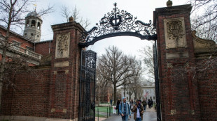 Harvard sues Trump over US federal funding cuts