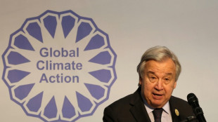 Una empresa no puede reivindicar neutralidad carbono si invierte en combustibles f&oacute;siles, establecen expertos de la ONU