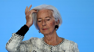 Lagarde, Spagna e Portogallo pi&ugrave; protetti dallo shock energetico con le rinnovabili