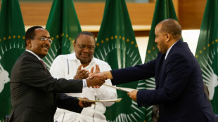 Gobierno et&iacute;ope y rebeldes del Tigr&eacute; acuerdan un "cese de hostilidades"