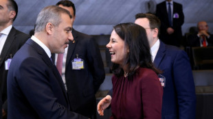 Baerbock bei Ministerrat in Malta: Putin legt Axt an OSZE an