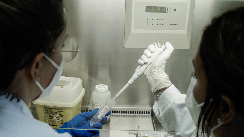  Ifom-Algebris Ets insieme per studiare il metabolismo dei tumori 