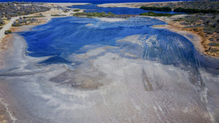 Netherlands faces 'test case' climate verdict over Caribbean island