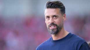 Wagner: "F&uuml;r den Trainerjob viel, viel besser geeignet"