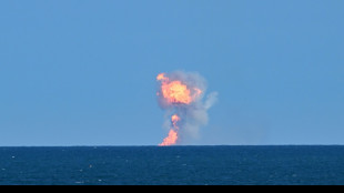 SpaceX &eacute;choue &agrave; rattraper sa fus&eacute;e Starship, sous les yeux de Trump