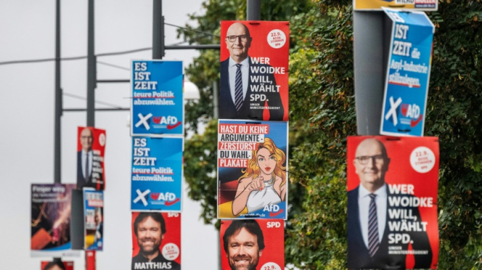 TikTok et barbecues, l'extr&ecirc;me droite allemande &agrave; la conqu&ecirc;te des jeunes &eacute;lecteurs