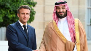 Macron seeks to sway Saudi's MBS on Ukraine in Paris talks