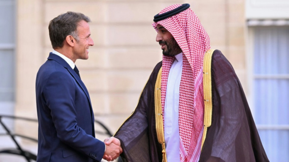 Saudi-Arabien will in Manga-Vergn&uuml;gungspark bei Paris investieren